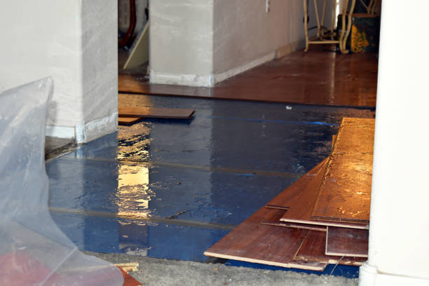 Professional Water Damage Restoration technician working in Romeoville, IL